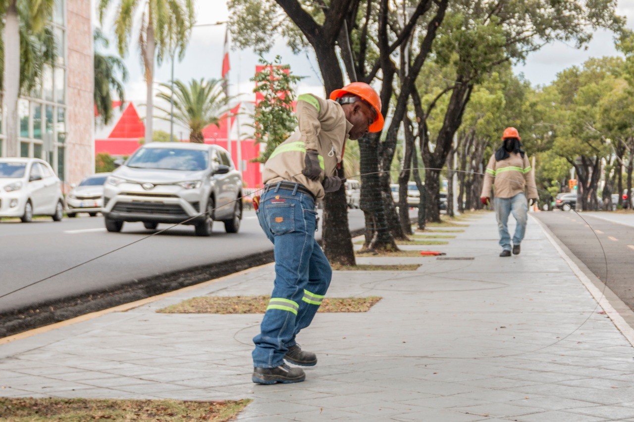 EDESUR instala cableado y energiza lámparas del Bulevar de las