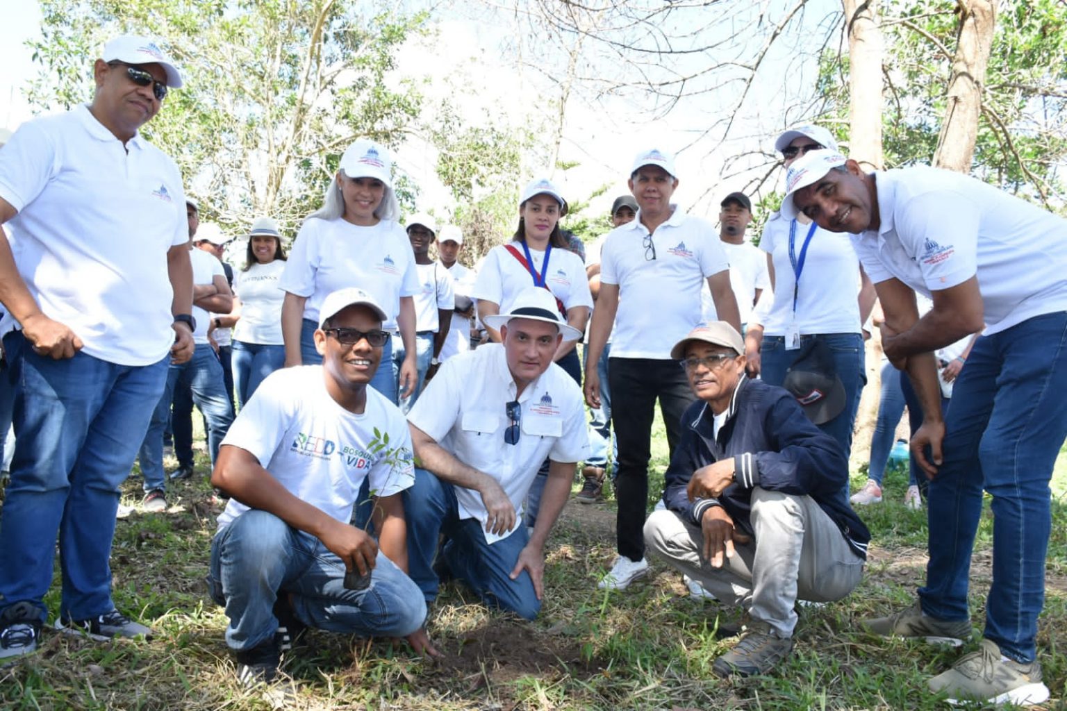 Avanza Plan Nacional De Reforestaci N Ministerio De Econom A Planta