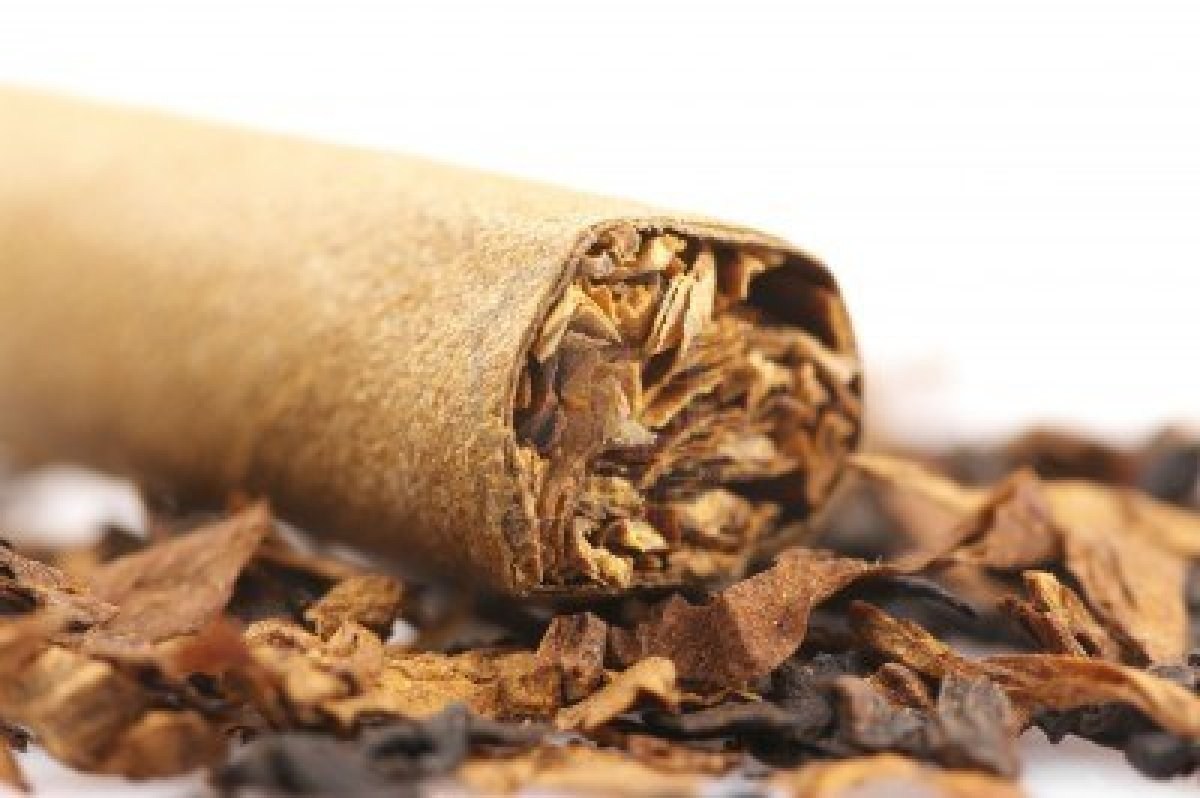 Santiago será sede de la Reunión de las Américas de la Asociación Internacional de Productores de Tabaco
