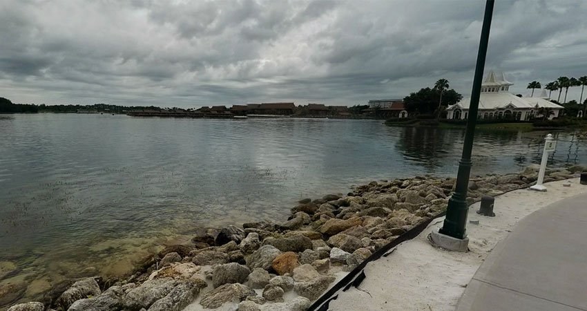 Buscan a un niño que fue arrastrado al agua por un caimán en Florida
