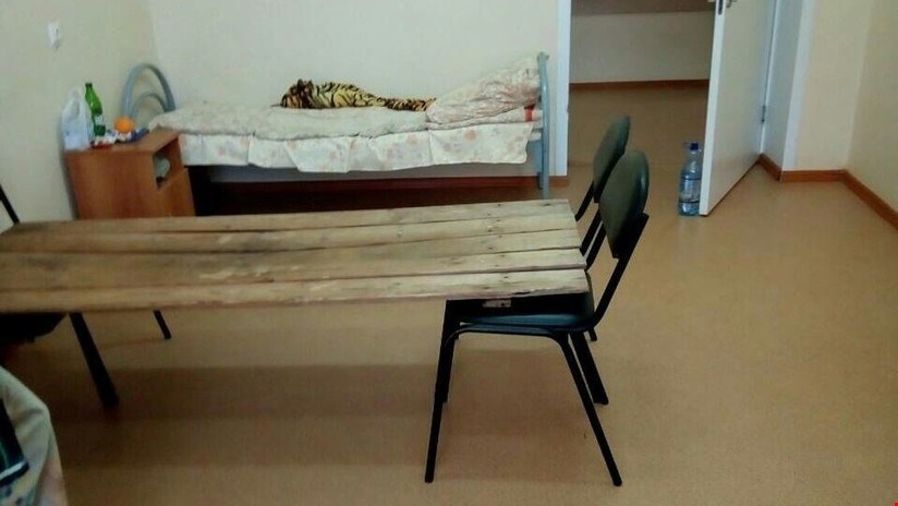 Una cama improvisada hecha de tablas de madera en un hospital ruso despierta indignación