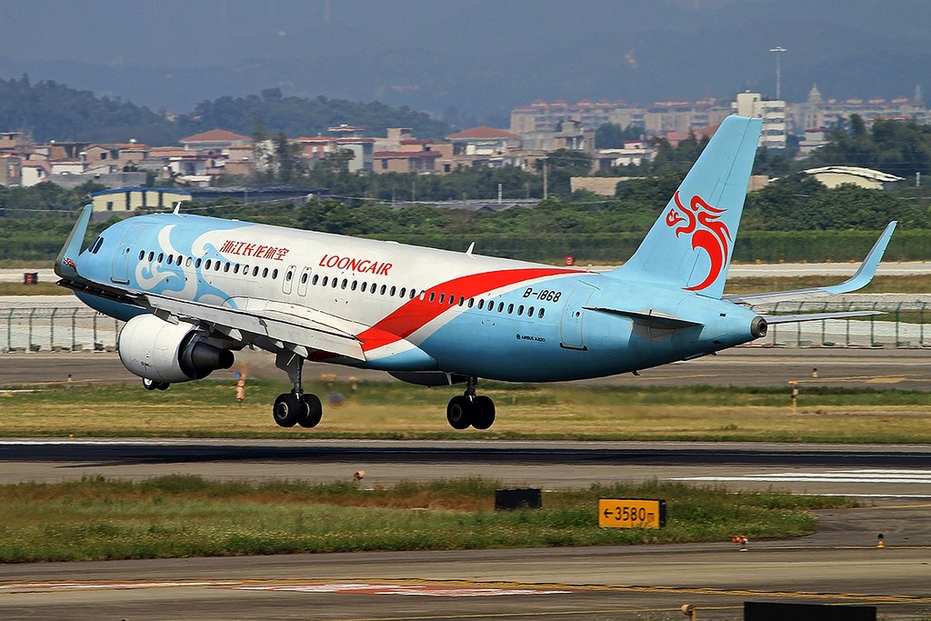 Avión chino regresa a tierra tras encontrar una rata a bordo