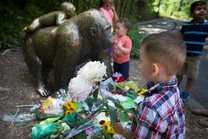 Director de zoológico de Ohio dice que es seguro pese al suceso con un gorila que fue sacrificado