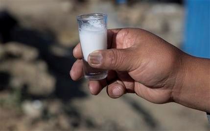 La leche de burra guarda un secreto en Bolivia