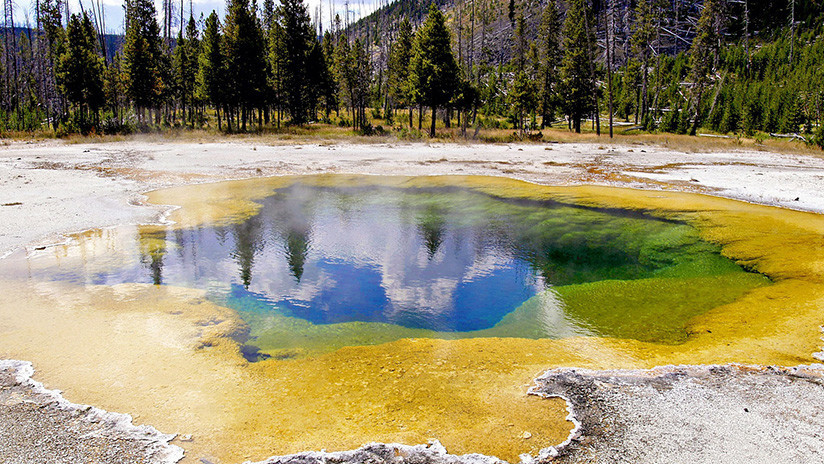 'Cazan' en Yellowstone una bacteria que 'se come' la contaminación y produce electricidad