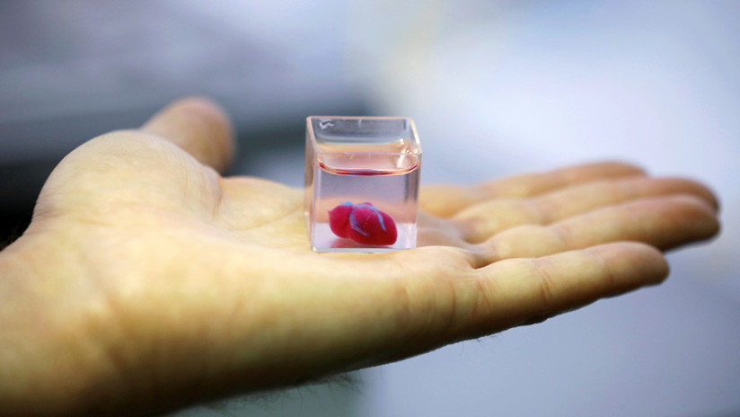 (Videos): Científicos israelíes 'imprimen' el primer corazón 3D del mundo con tejido humano