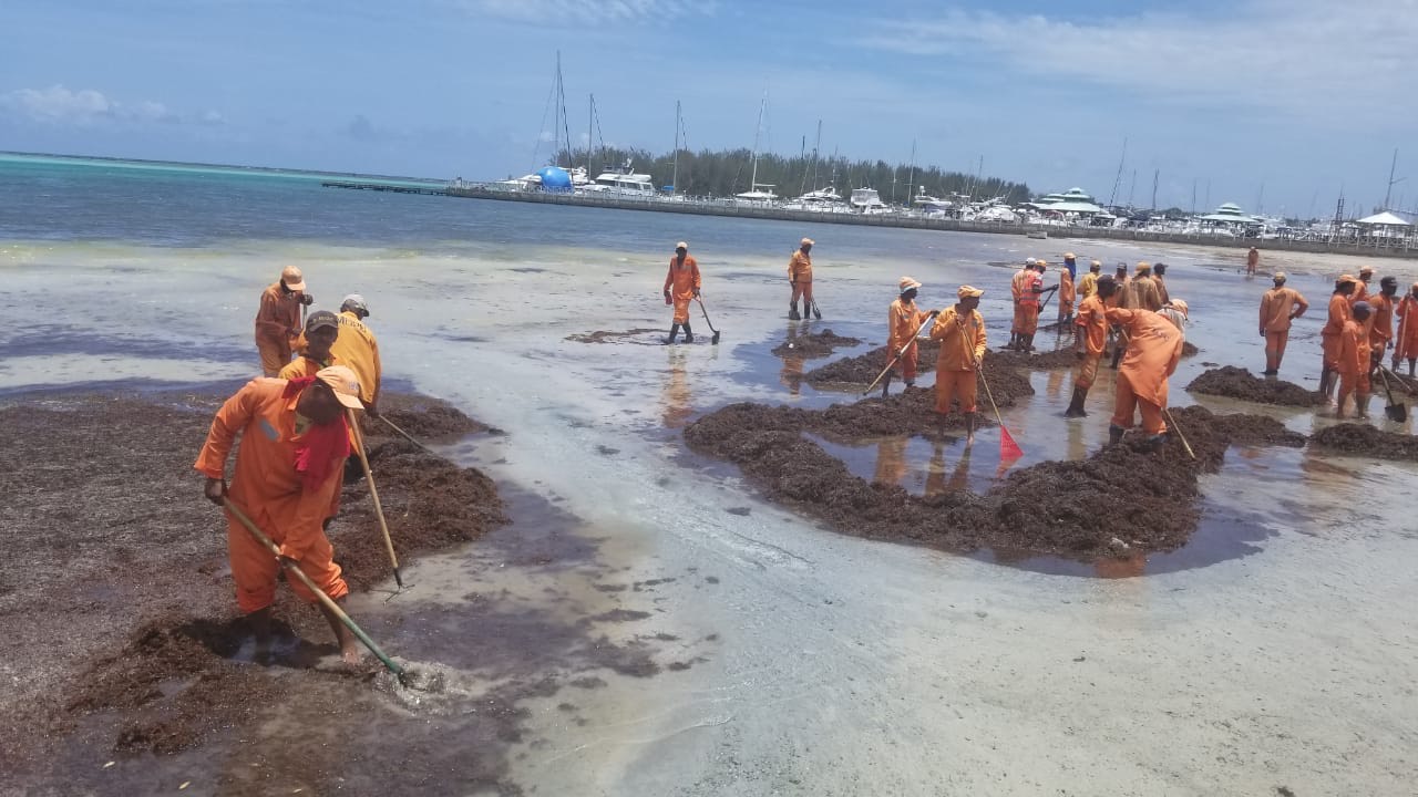 MOPC retira toneladas de sargazos de la playa de Andrés, Boca Chica