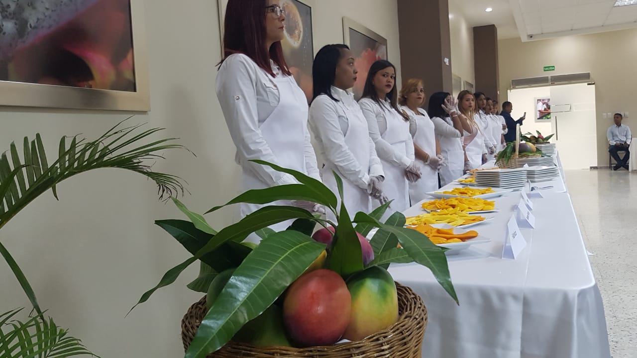 (Video): Aumentan exportaciones de mangos durante primer trimestre de este año; anuncian "Feria del Mango 2019"