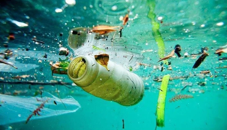 Día Mundial de los Océanos: 80 % de la basura que hay en los océanos proviene de la tierra