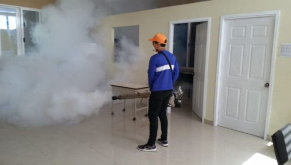 Gobierno de Honduras decreta emergencia nacional por el dengue: Más de 15 mil casos registrados