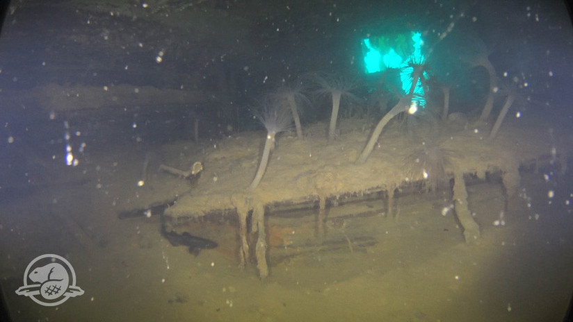 Primeras imágenes del interior del HMS Terror, legendario barco 'caníbal' hundido hace más de 170 años