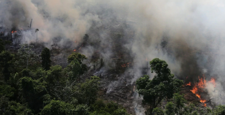 El Amazonas en llamas: incendios forestales superan los 70.000 en el año en Brasil