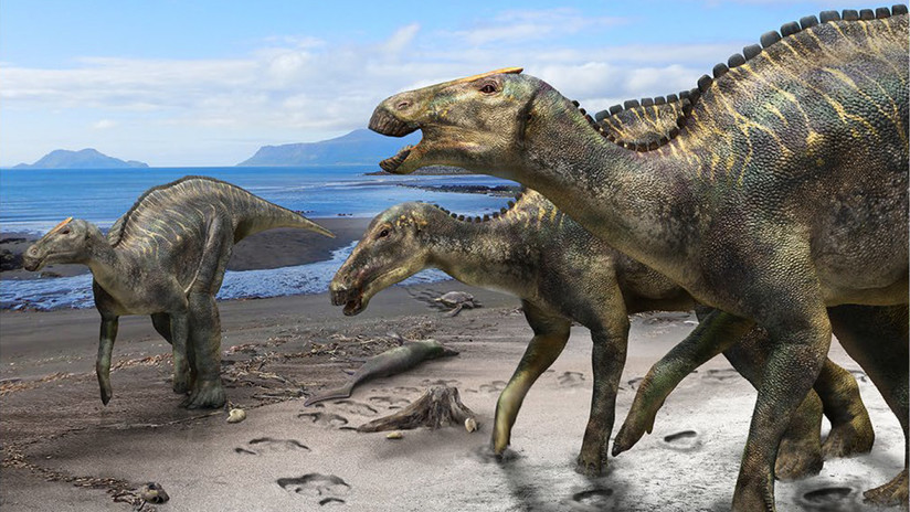Descubren una nueva especie de dinosaurios, la más grande que habitaba las islas de Japón