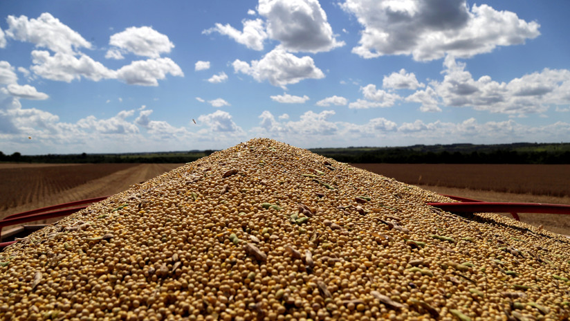 Argentina logra un "acuerdo histórico" para exportar soja a China, tras 20 años de negociaciones