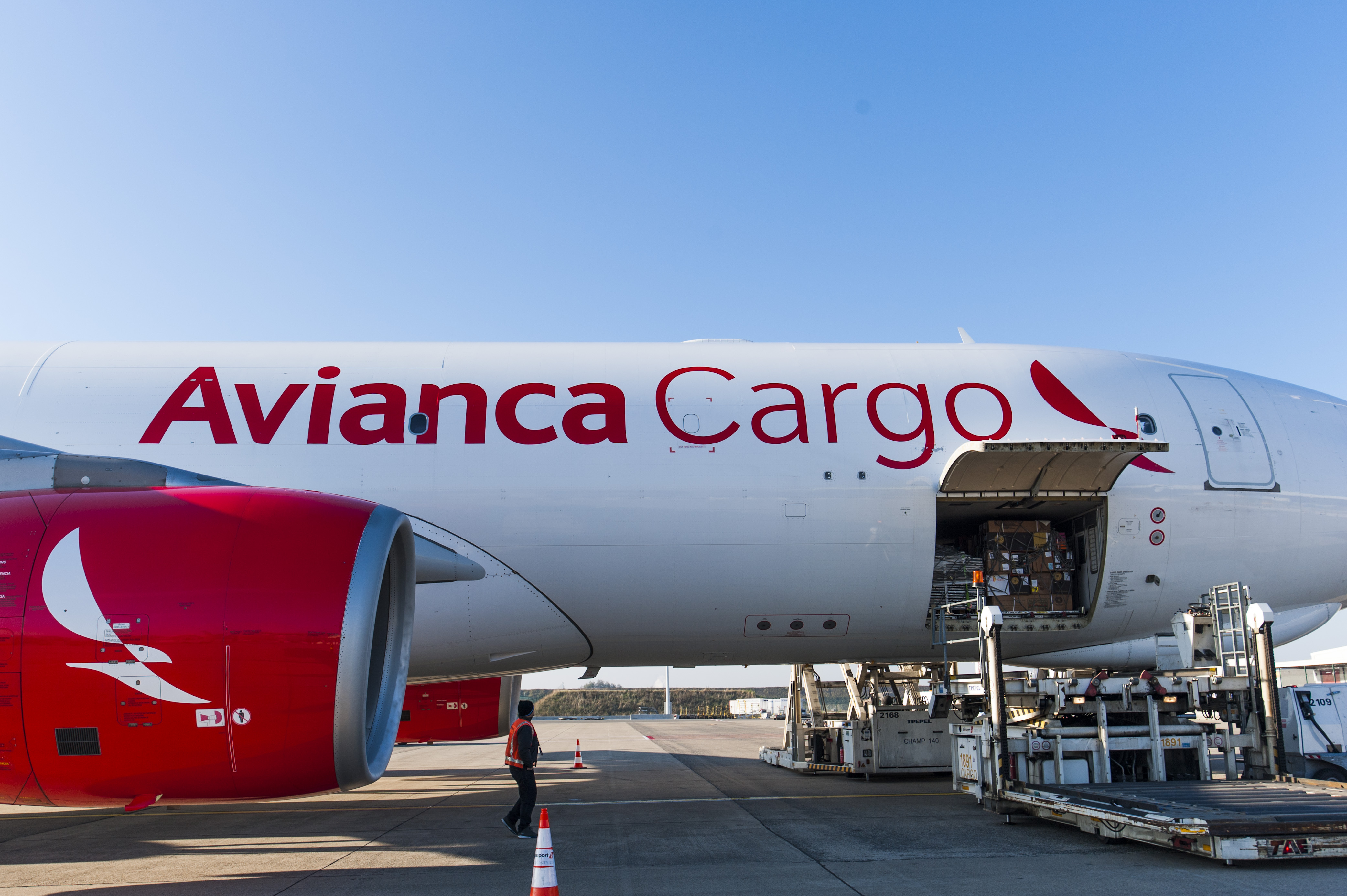 Avianca Cargo duplica frecuencia de vuelos desde SDQ para transportar carga entre Miami, Santo Domingo y Bogotá