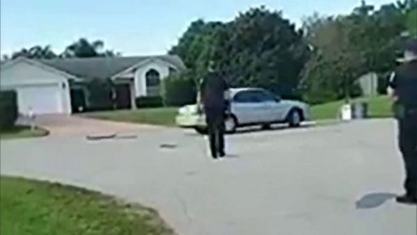 (Video): Un perro al volante da vueltas durante una hora en un auto sin conductor en Florida