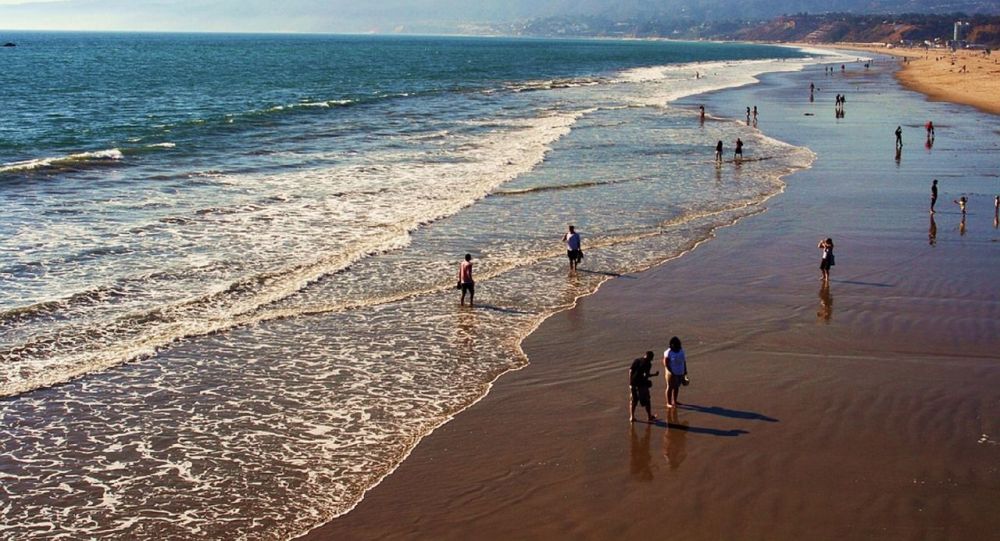Una playa de California se llena de 'penes' flotantes
