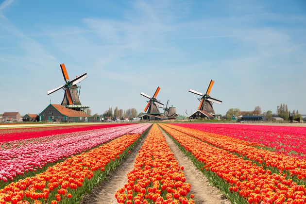 Holanda ya no se llamará Holanda
