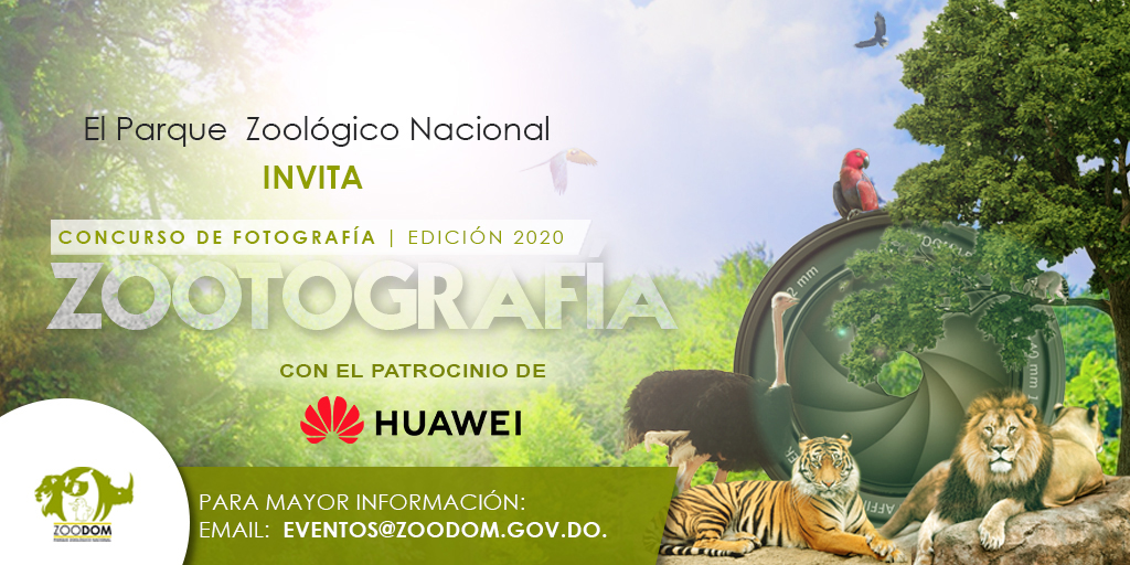 Huawei y el Parque Zoológico Nacional lanzan concurso fotografía móvil: ZOOTOGRAFÍA 2020