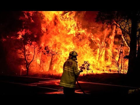 Planeta en llamas: Incendios forestales por el cambio climático y agravamiento de los enfrentamientos políticos