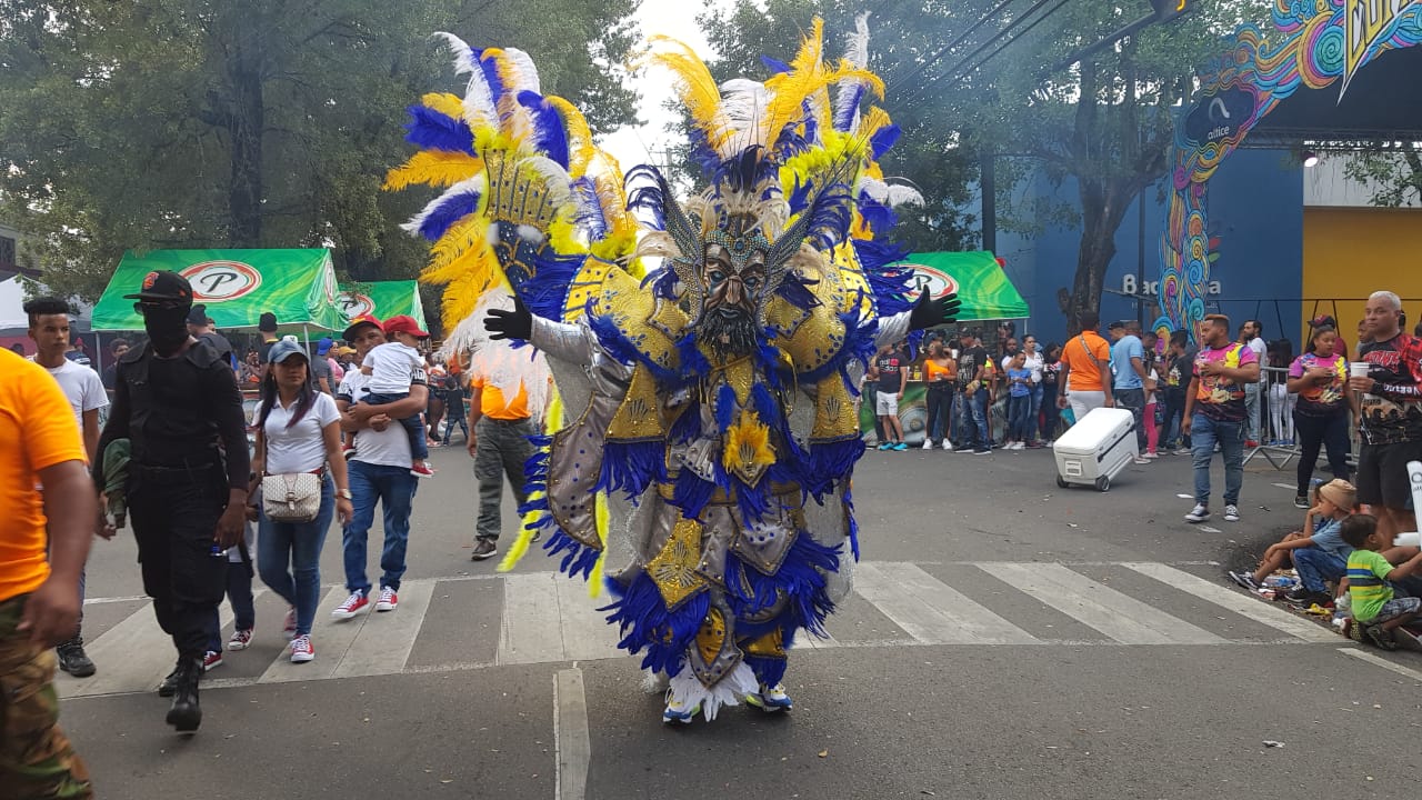La Vega se viste de colores con primer desfile del "Carnaval Vegano 2020"