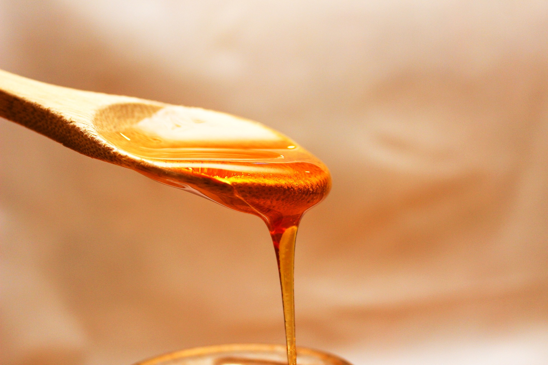Afirman escasea la miel de abejas de producción nacional por aumento en consumo y cosecha insuficiente