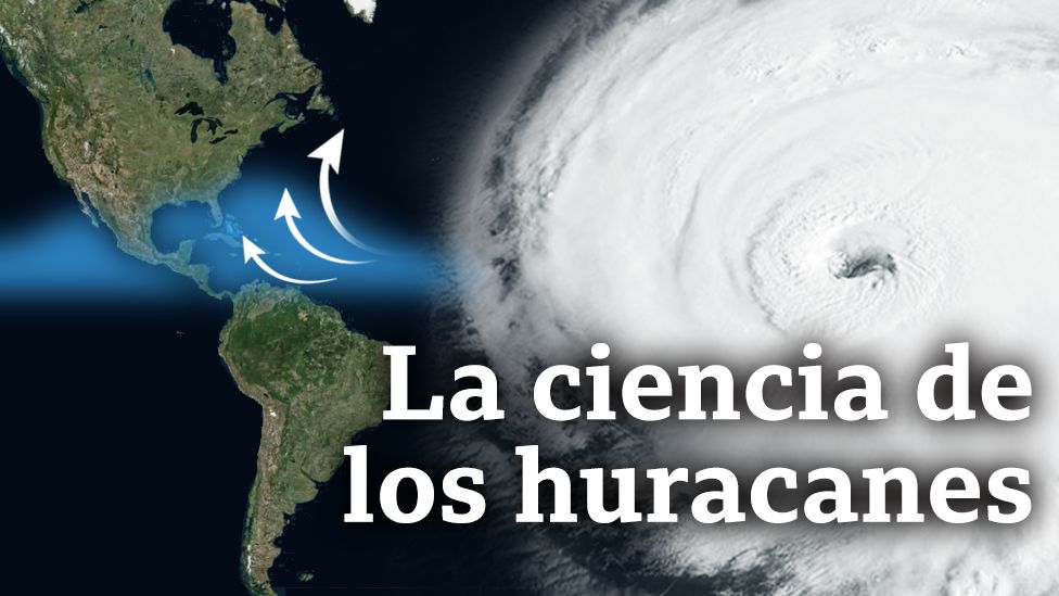 Cómo se forman los ciclones tropicales y por qué son tan frecuentes en el Caribe, México y Estados Unidos