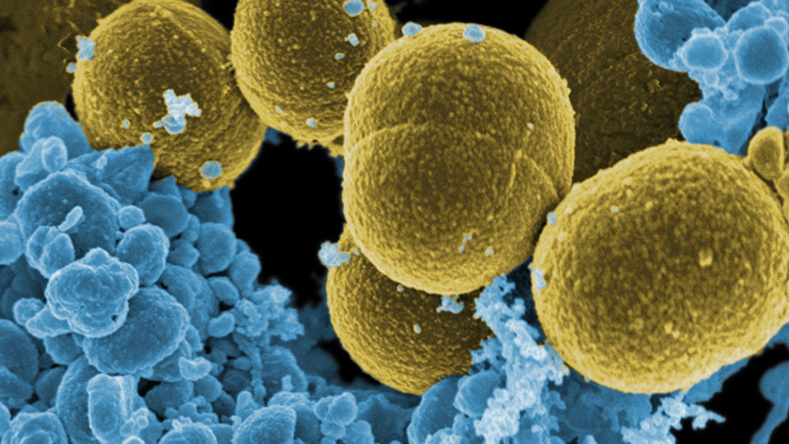 Las 'antivitaminas' pueden salvar la humanidad de infecciones resistentes a los antibióticos, afirma estudio