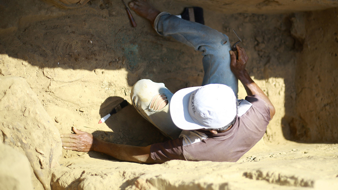 Descubren una ofrenda con 11 cocodrilos de más de 2.000 años en Egipto
