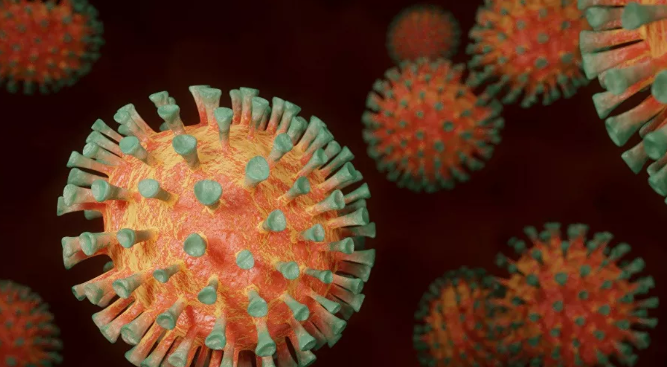 El factor invisible: qué protege a la mitad de la población mundial del coronavirus