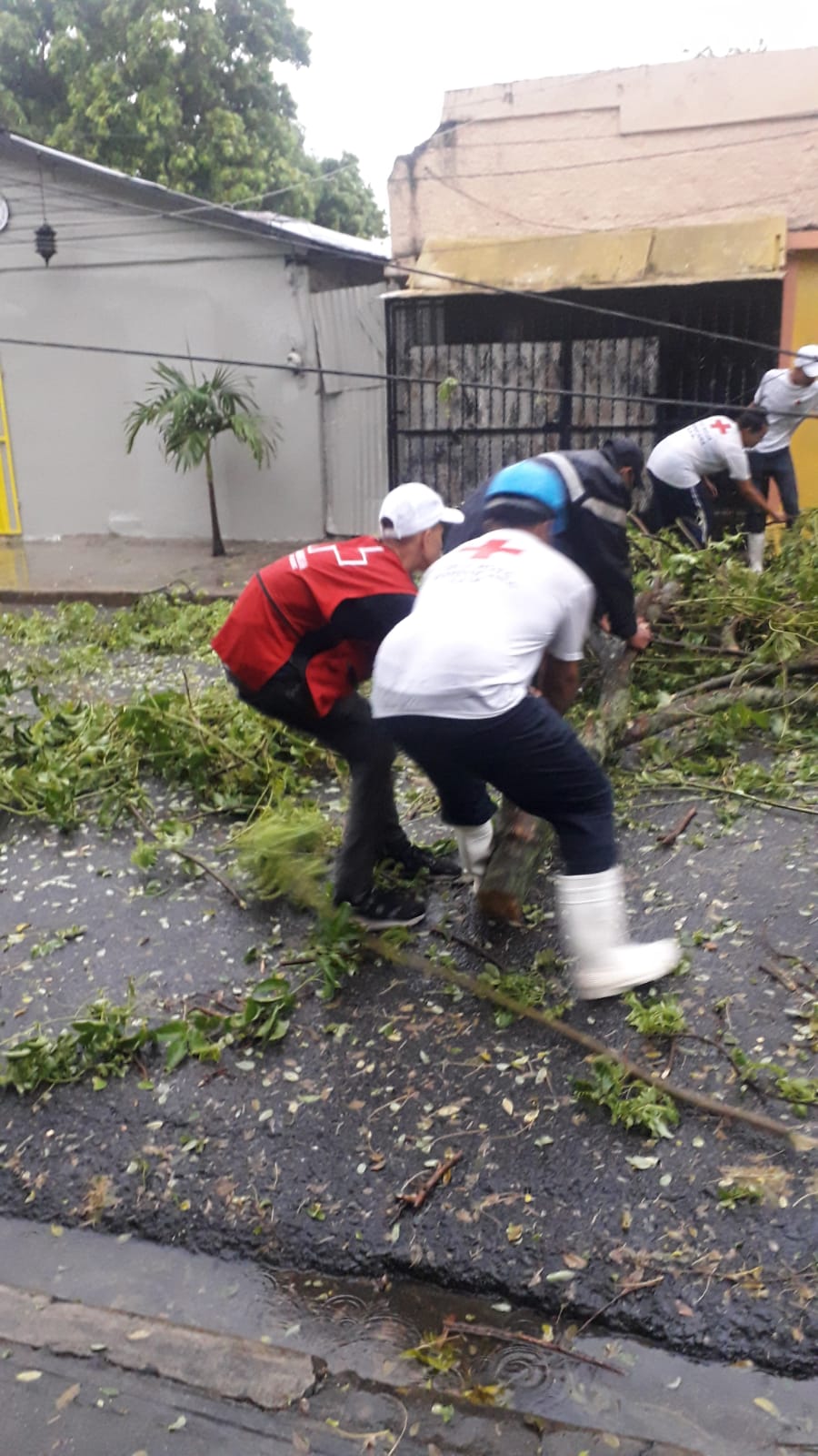 Cruz Roja Dominicana realiza evaluaciones de daños tras paso de tormenta Laura
