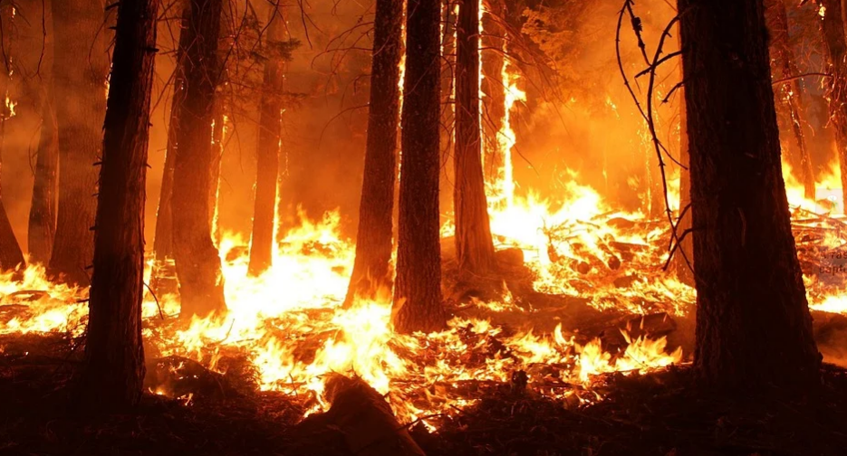 Evacuaciones en California debido a incendios forestales