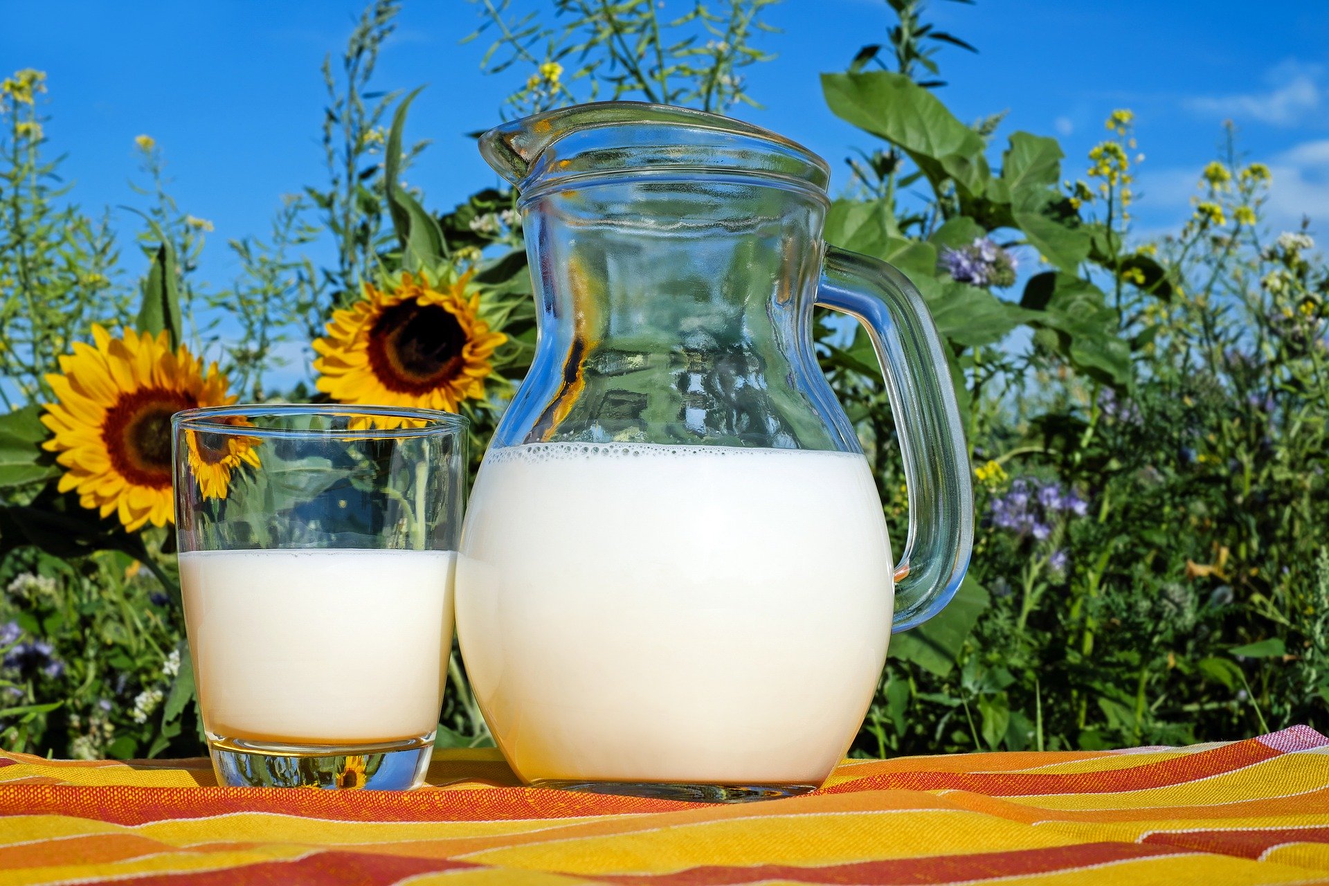 El sorprendente remedio contra el coronavirus: leche de vaca