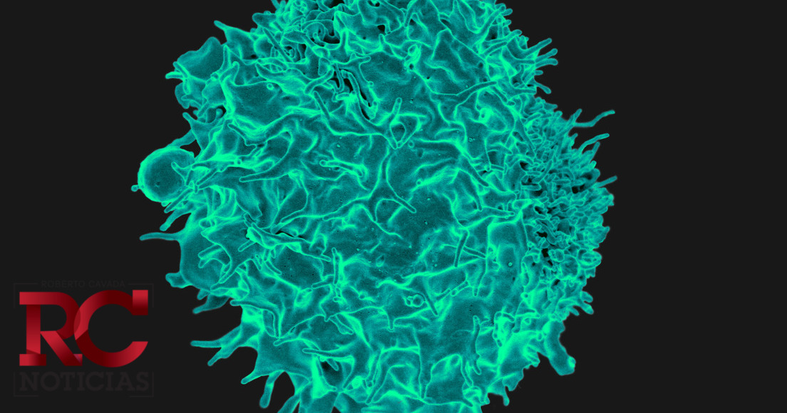 La nueva cepa del coronavirus, más contagiosa, preocupa a los epidemiólogos