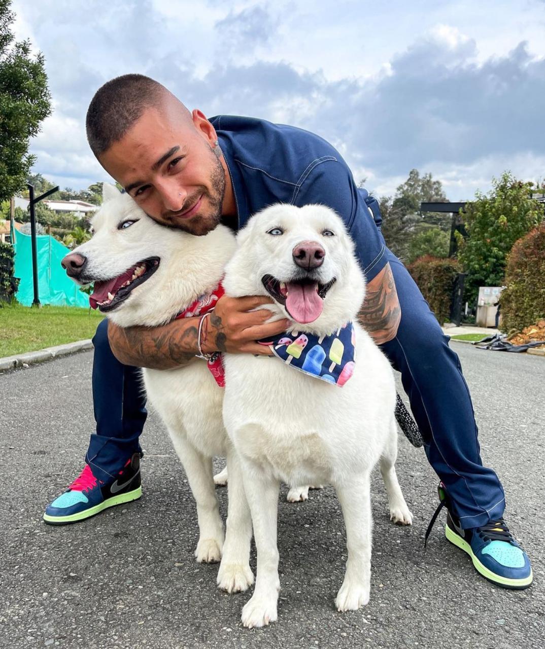 Maluma llora tras reencuentro con sus perros