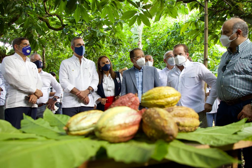 Video | Gobierno dispone facilidades de financiamiento para 300,000 tareas de cacao en SFM