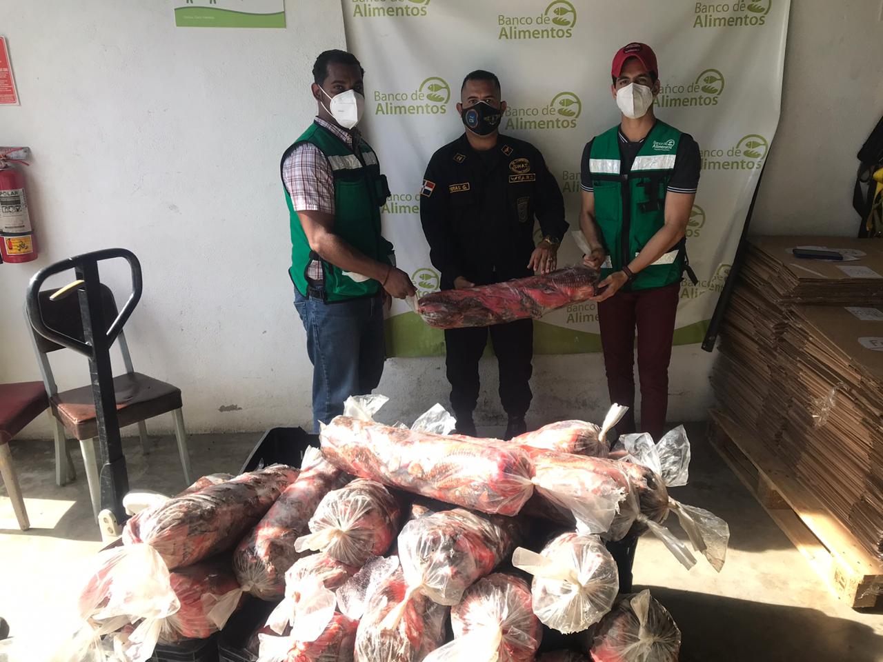 VIDEO | CODOPESCA decomisa 600 libras de pez loro y los dona al banco de alimentos de PROSOLI