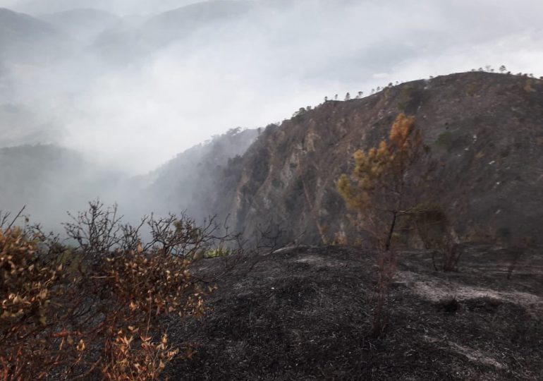 Bomberos forestales extinguen y controlan incendio en El Pinar, Ocoa