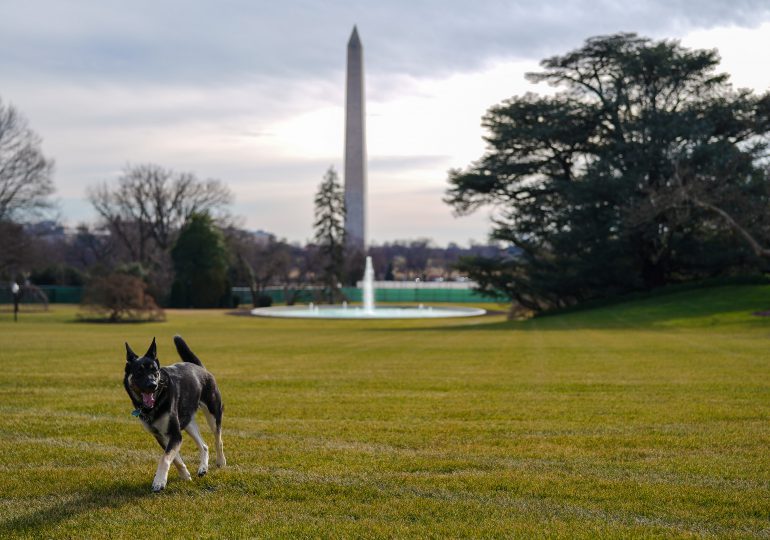 Vuelven las mascotas presidenciales a la Casa Blanca