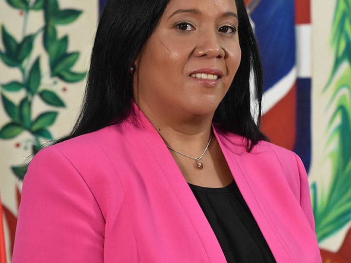 RD participa en cooperación regional con el Caribe por un monto de 346 millones de euros 