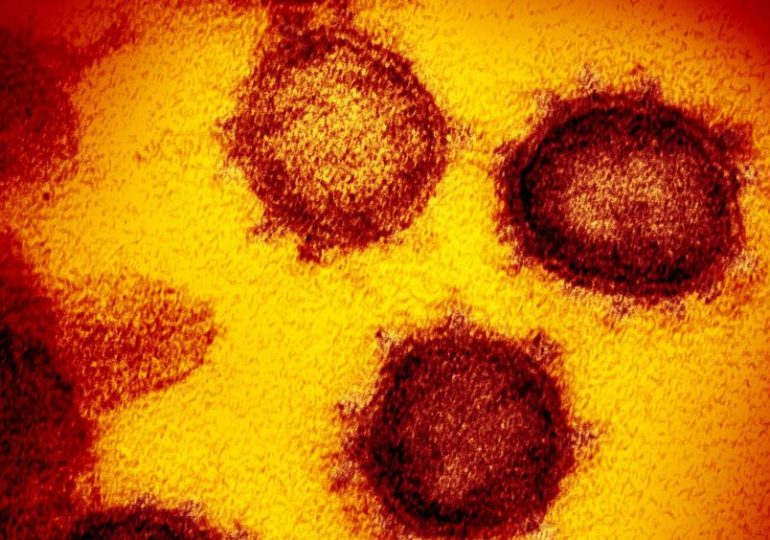 Detectan en EEUU la variante sudafricana del coronavirus