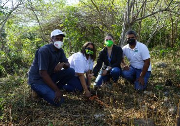 ISM, EcoRed y Jardín Botánico realizan Jornada de Reforestación de Roblillo