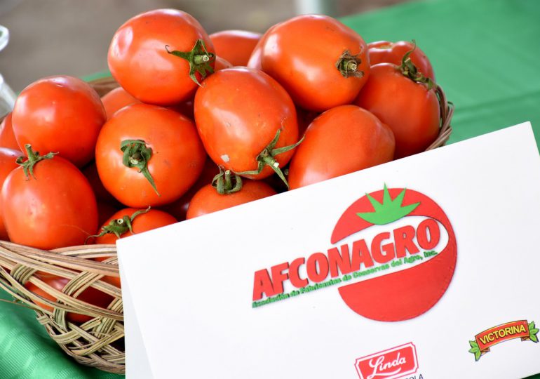 Inicia zafra de tomate industrial en Azua