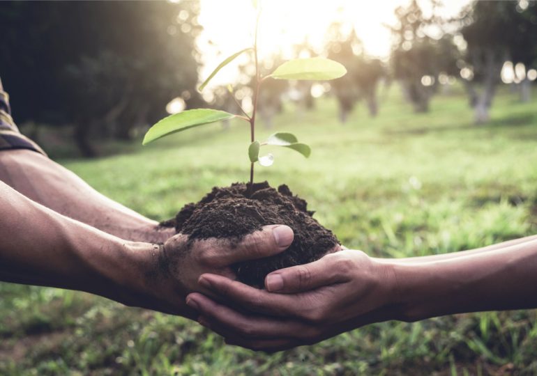 Scotiabank y Mastercard se comprometen a plantar 100 millones de árboles en cinco años