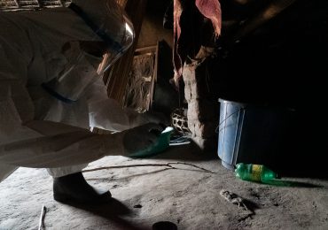 Tras la pista de uno de los brotes de peste más antiguos del mundo en el Congo