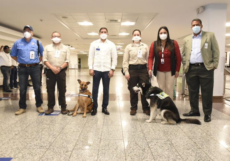 Lanzan plan con unidades caninas para detectar vegetales y carnes en equipajes de aeropuertos