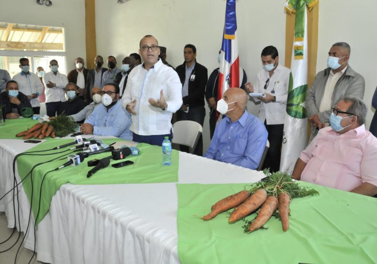 Ministerio de Agricultura interviene producción de zanahorias en Constanza