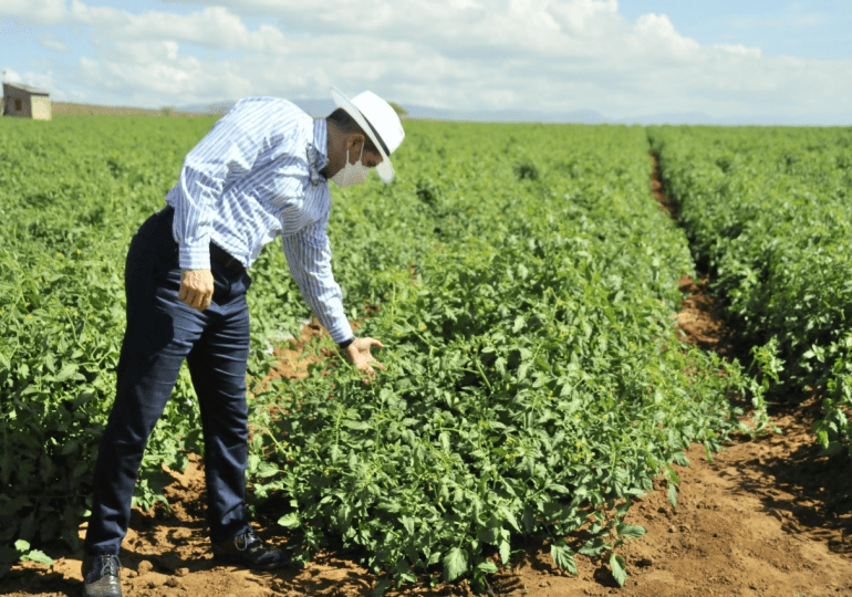 VIDEO | Gobierno invierte más de RD$767 millones a la agropecuaria en seis meses en el sur del país