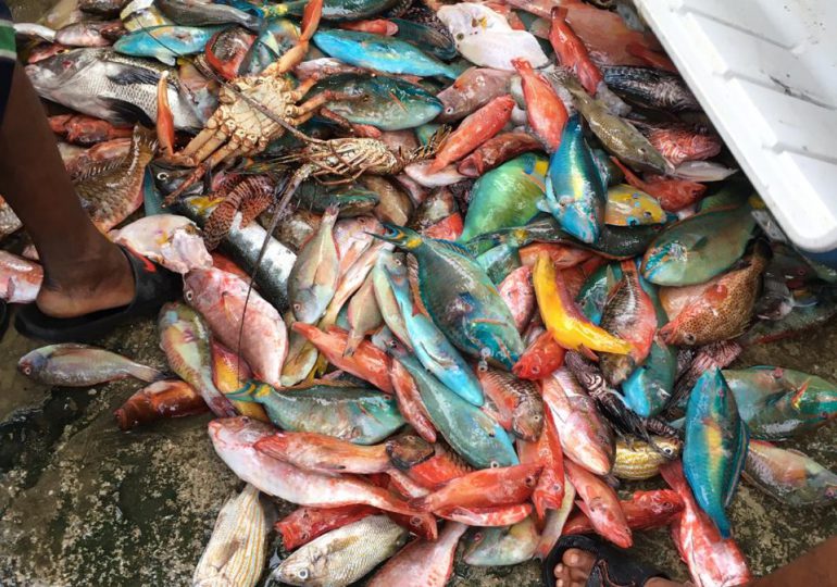 Pescadores llaman al Ministro de Medio Ambiente aplicar la ley a todos por igual