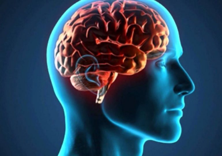 El cerebro humano moderno apareció hace menos tiempo de lo que se pensaba, según un estudio